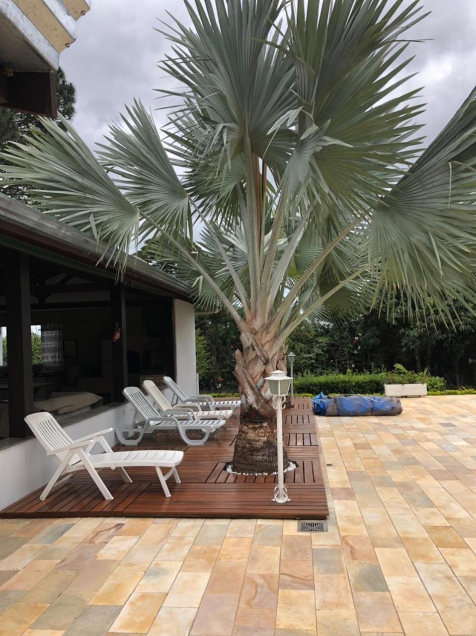 Holiday home Chacara 5 E Piscina Em